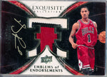 Upper Deck 2008-2009 Exquisite Collection Emblems Of Endorsement #EEDR Derrick Rose  3/10