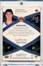 Upper Deck 2008-2009 Exquisite Collection Rookie Parallel #100 Danilo Gallinari 23/44