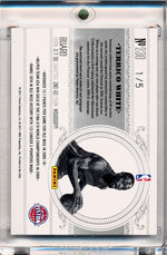 Panini 2010-2011 National Treasures  Century Platinum #230 Terrico White  1/5