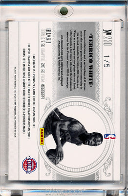 Panini 2010-2011 National Treasures  Century Platinum #230 Terrico White  1/5